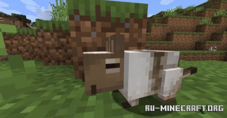  Vanilla Degus  Minecraft 1.21.1