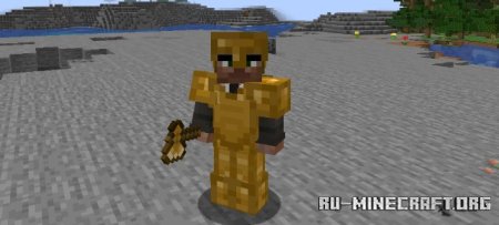  Bronze  Minecraft 1.21.1