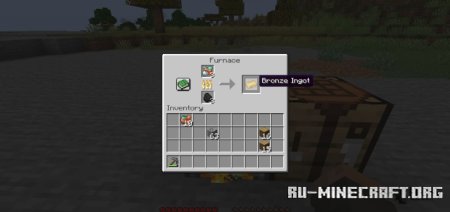  Bronze  Minecraft 1.21.1