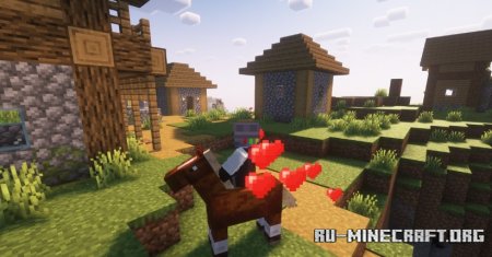  Kaffees Dual Ride  Minecraft 1.21.1