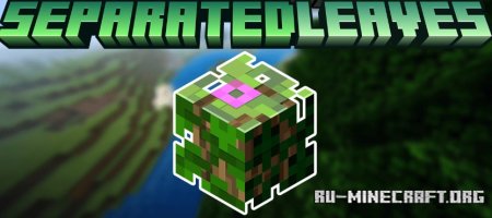  Separated Leaves  Minecraft 1.21.1