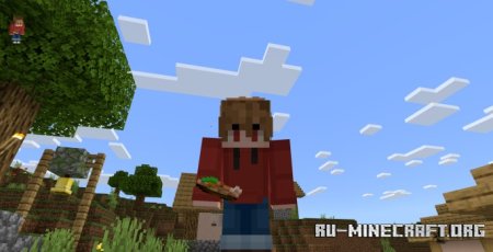    Minecraft PE 1.21