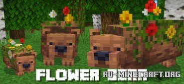     Minecraft PE 1.21