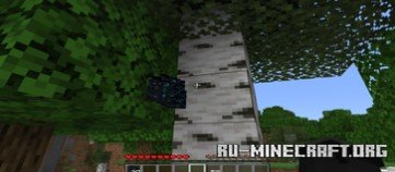     Minecraft PE 1.21