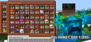     Minecraft PE 1.21