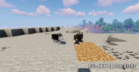  Just Some More Doggos  Minecraft 1.21