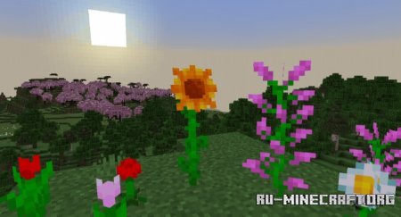     Minecraft PE 1.21