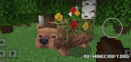     Minecraft PE 1.21