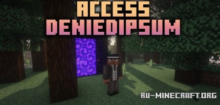  Access Denied  Minecraft 1.21.1