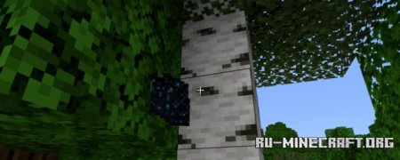     Minecraft PE 1.21