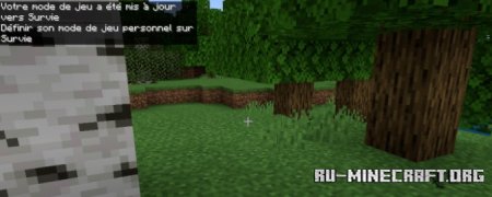     Minecraft PE 1.21