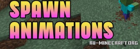  Spawn Animations  Minecraft 1.21