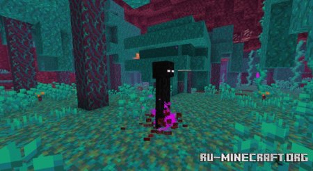  Spawn Animations  Minecraft 1.21