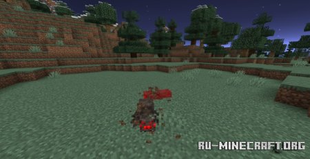  Spawn Animations  Minecraft 1.21