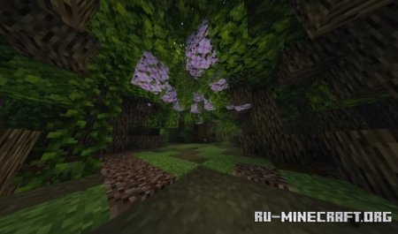  Sorrowfell Forest: A Smugnag Story  Minecraft