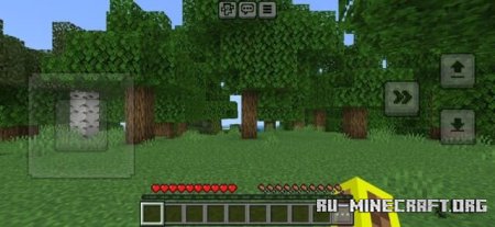      Minecraft PE 1.21