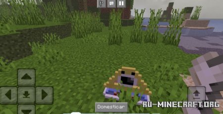     Minecraft PE 1.21