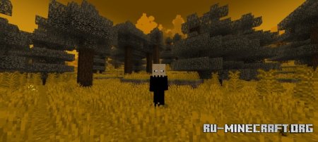     Minecraft PE 1.21