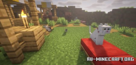  Morning Glory  Minecraft 1.21.3