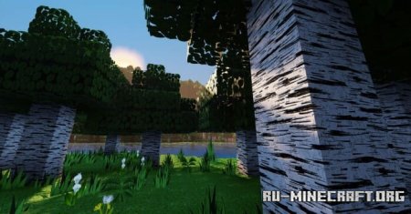      Minecraft PE 1.21