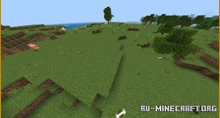     Minecraft PE 1.21