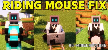  Riding Mouse Fix  Minecraft 1.21.3