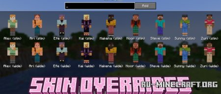  Skin Overrides  Minecraft 1.21.3