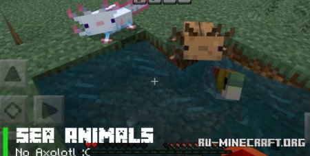     Minecraft PE 1.21