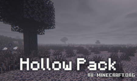  Hollow Pack  Minecraft 1.21