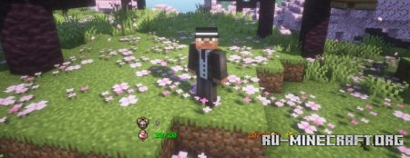  Better HP  Minecraft 1.21.3