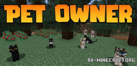  Pet Owner  Minecraft 1.21.3