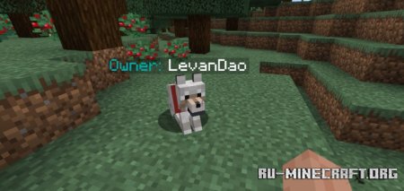  Pet Owner  Minecraft 1.21.3