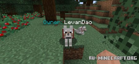  Pet Owner  Minecraft 1.21.3