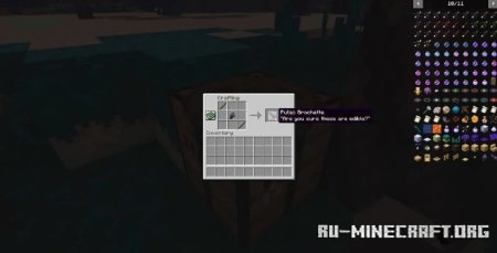  Ends Phantasm  Minecraft 1.21.1