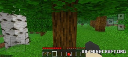     SRMC  Minecraft PE 1.21