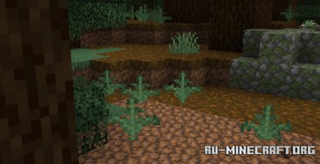  Regrown Grass  Minecraft 1.21