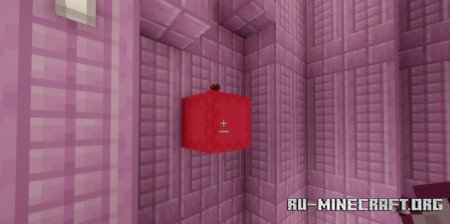  Shulkers Drop Two Shells  Minecraft 1.21.1