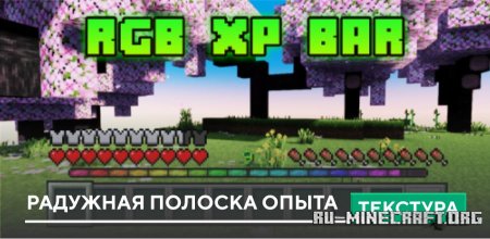 Скачать Радужная полоска опыта для Minecraft PE 1.21