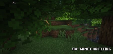  Enlightened Block Entities  Minecraft 1.21.4