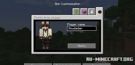  Fabric Tailor  Minecraft 1.21.4