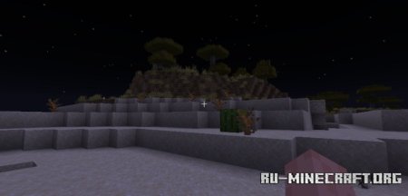  Cat Eyes  Minecraft 1.21.4