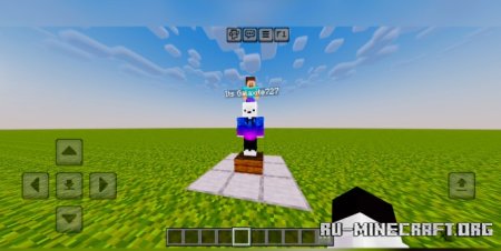     Minecraft PE 1.21