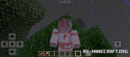     Minecraft PE 1.21