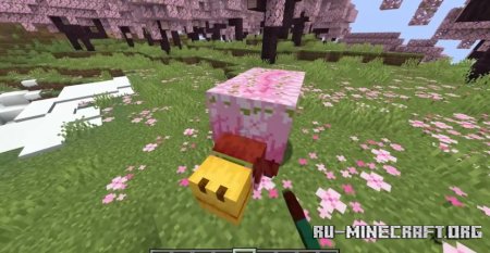  Sussy Sniffers  Minecraft 1.21.1