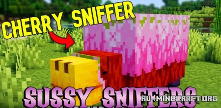  Sussy Sniffers  Minecraft 1.21.1