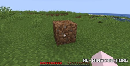  Block Blocker  Minecraft 1.21.1