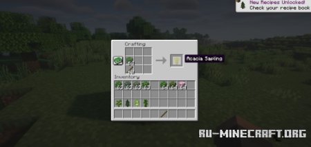  Craftable Saplings  Minecraft 1.21.4