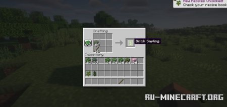  Craftable Saplings  Minecraft 1.21.4