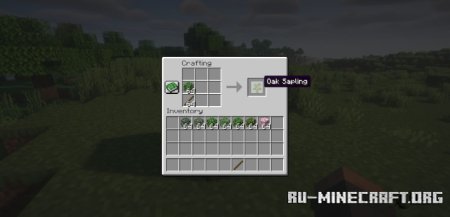  Craftable Saplings  Minecraft 1.21.4