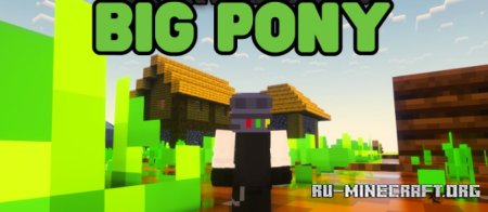  Big Pony  Minecraft 1.21.4